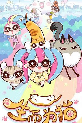 网站怎么优化当然云速捷